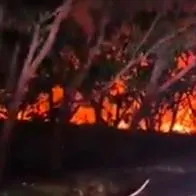 Cierran la variante de Ibagué por grave incendio forestal, cerca a aeropuerto