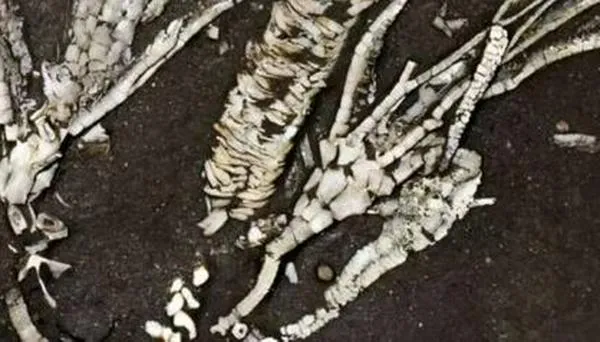 Arqueólogos descubren en Luxor una tumba de 3.000 años del periodo ramésida
