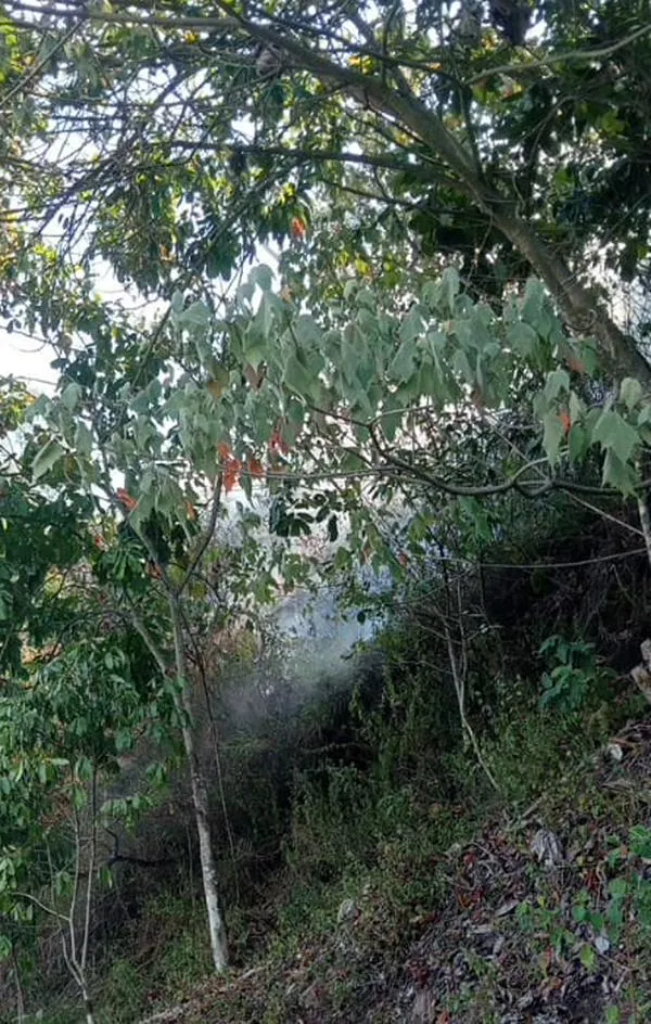 Controlan incendios forestales en Cristo Rey; cuatro hectáreas resultaron afectadas