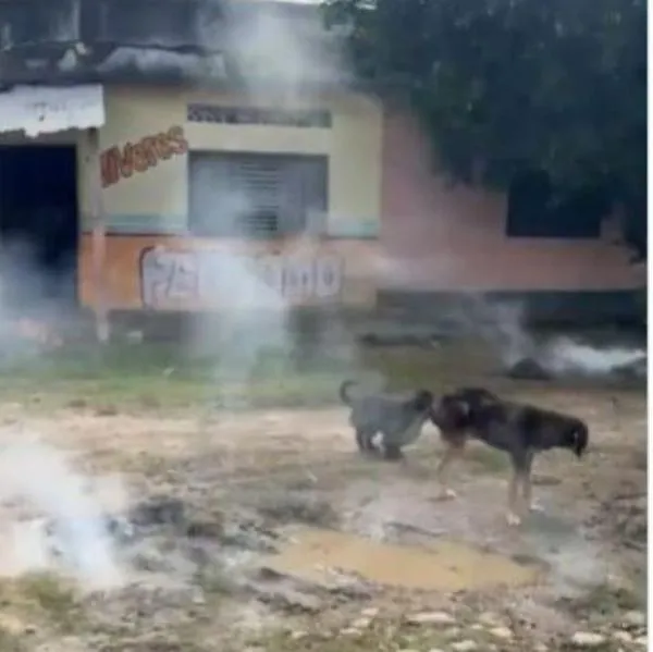 Así quedó el lugar donde estaba la estación de Policía en Tame, Arauca, donde ocurrió un atentado que dejó tres fallecidos