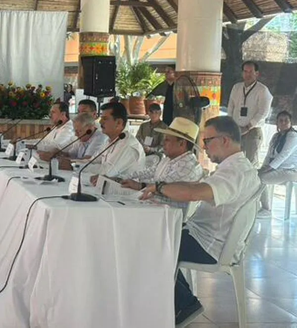 Informe de la ONU alerta por crisis en seguridad y lanza críticas a la paz total: esto dice