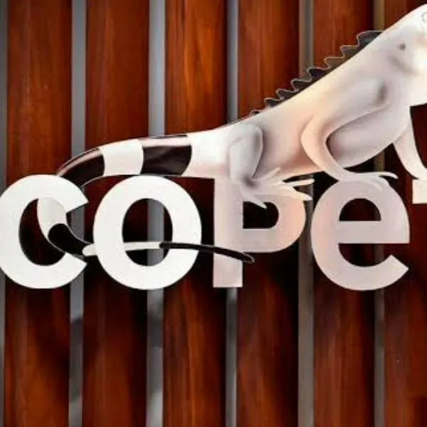 Ecopetrol retoma el proceso de la OPA por Brava Energía tras decisión del regulador brasileño