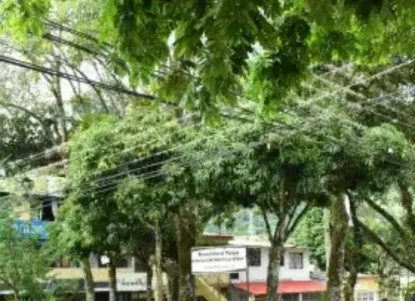 Un muerto y tres heridos tras ataque a bala en la comuna 11 de Ibagué