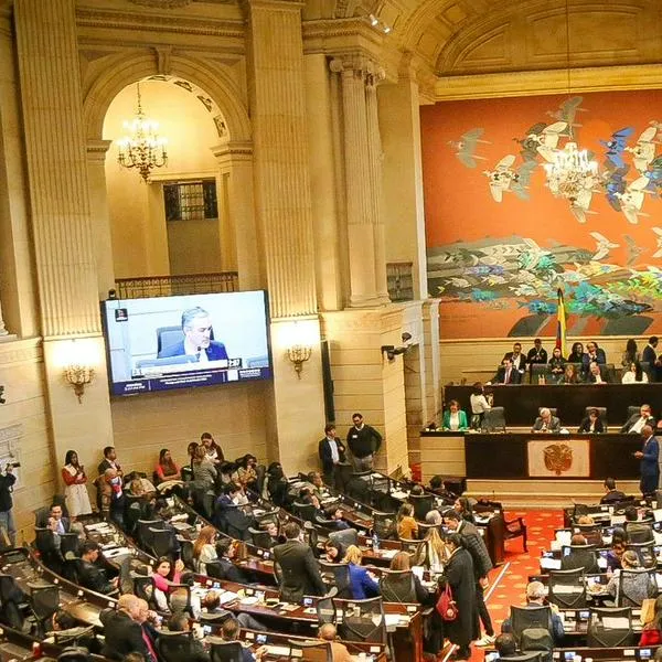 Hoy 20 de julio, asumen 103 senadores y 183 representantes,  el nuevo Congreso y la oportunidad de Risaralda