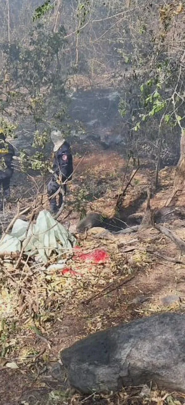 Bomberos alertan por ola de calor en Valledupar: lotes enmontados aumentan el riesgo de incendios forestales