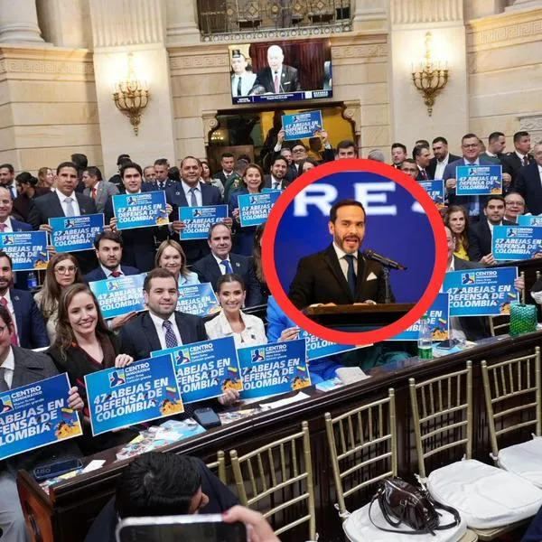 El Centro Democrático fijó su postura frente al gobierno electo de Abelardo De La Espriella tras la elección de Honorio Henríquez en el Senado. 
