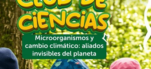 tarjeta noticia