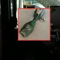 Video muestra cómo quedó estación de Policía atacada en Cesar