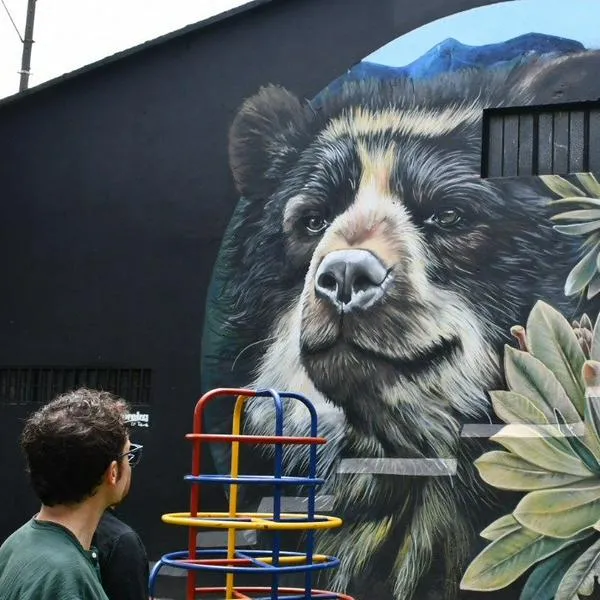 El grafiti reclama la ciudad: pinta historias que embellecen