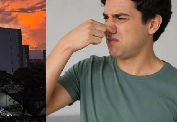 CVC explicó hipótesis sobre los malos olores en Cali: ¿a qué se deben?
