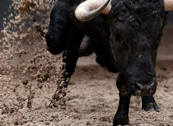 Tras video viral, piden acabar con las corralejas en el Tolima