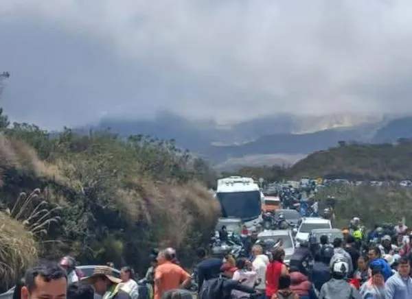 Tolima reactiva medida para proteger el Parque Los Nevados