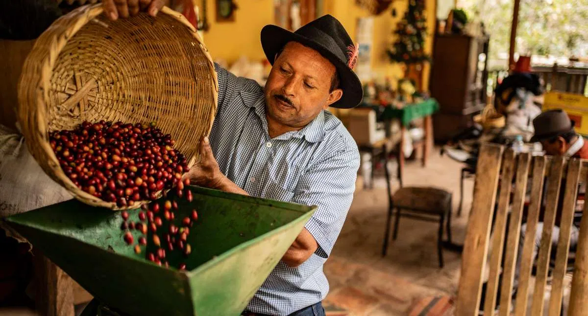 Café de campesinos colombianos va a Expocafé Chile 2026 en julio gracias a ADR