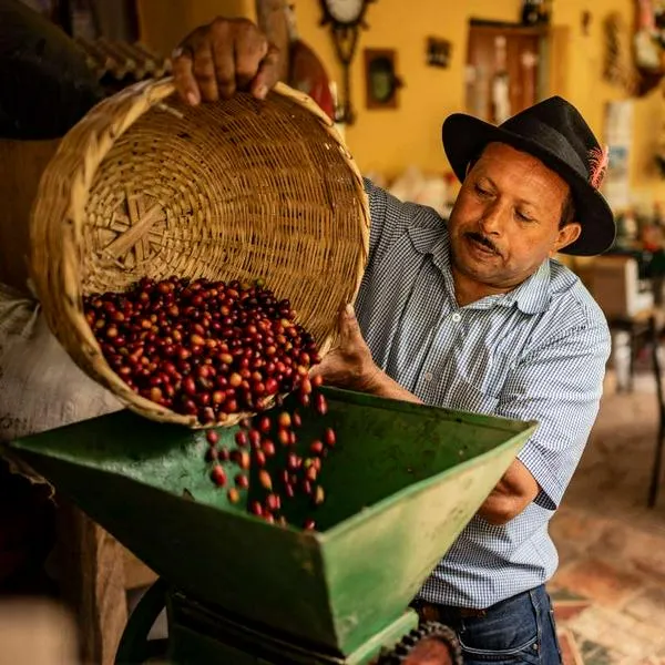 Café de campesinos colombianos va a Expocafé Chile 2026 en julio gracias a ADR