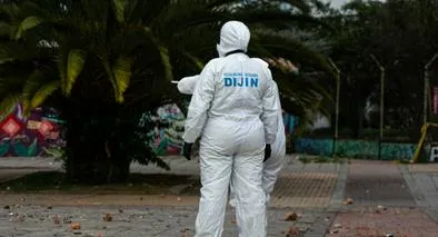 Imagen de referencia