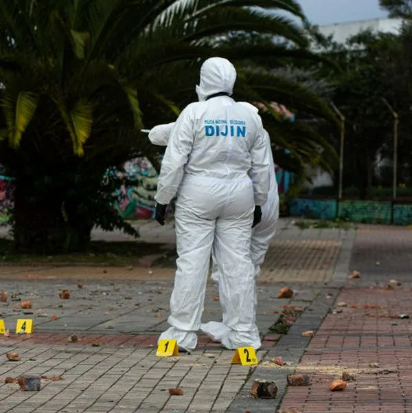Imagen de referencia