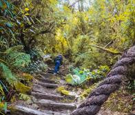 Recomendaciones que ayudan a proteger los Cerros Orientales de Bogotá durante el fenómeno de El Niño ¡Ayuda a proteger las zonas de reserva! 