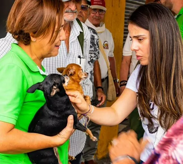 «La compasión por los animales no se castiga»: Senadora Esmeralda Hernández