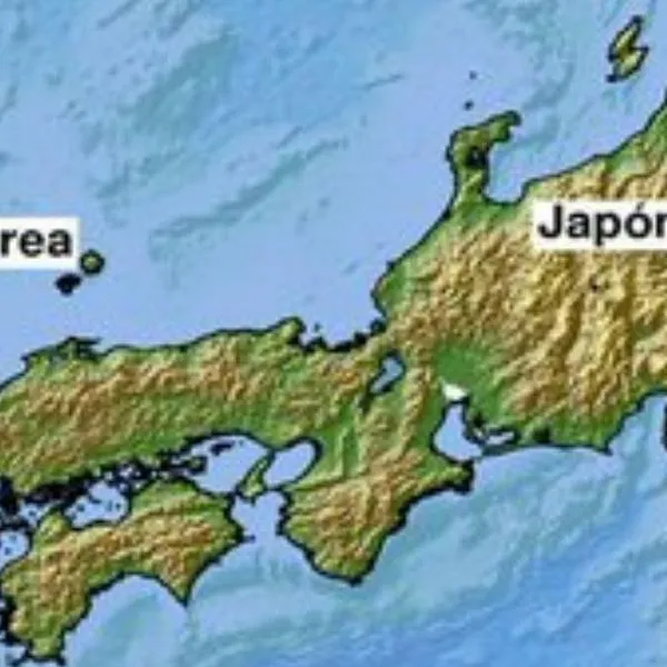 Pánico en Japón por fuerte terremoto que provocó alerta de tsunami