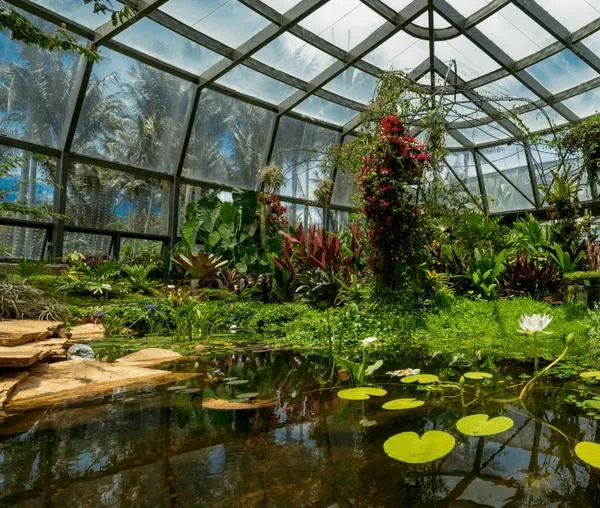 Cuatro acciones del Jardín Botánico para mitigar efectos del fenómeno de El Niño en Bogotá 