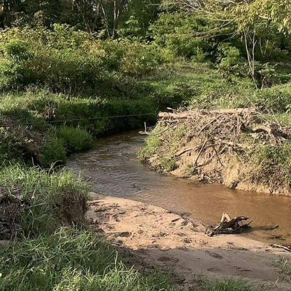 ANLA aprueba segunda modificación de la licencia ambiental para la línea de transmisión La Loma – Sogamoso