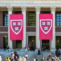 Requisitos para estudiar en Harvard: ofrecen mentorías gratis a colombianos