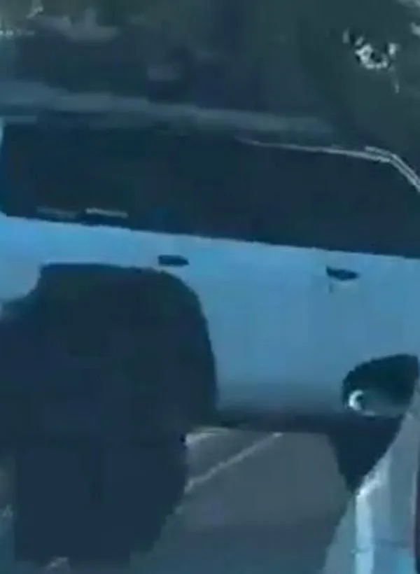Identifican y llaman a comparecer a conductor que cruzó un separador para evitar un trancón
