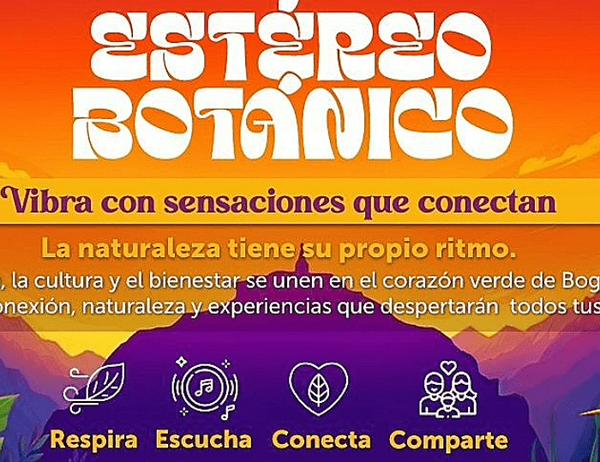 imagen principal home