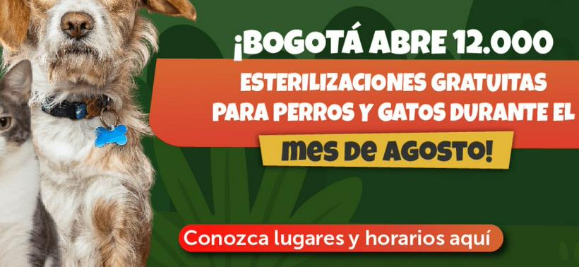 imagen nota lateral