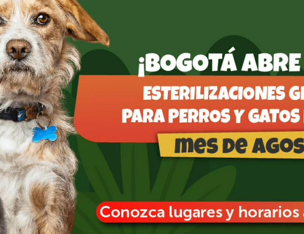 imagen principal home