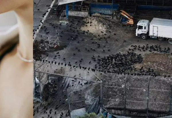 Candelaria instala un PMU para enfrentar la problemática regional de olores ofensivos