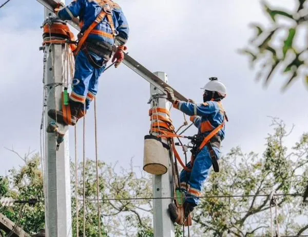 Enel Colombia invita a volar cometas con precaución en Bogotá durante agosto ¡Sigue estas recomendaciones!  