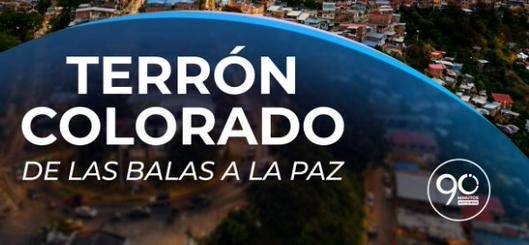 tarjeta noticia