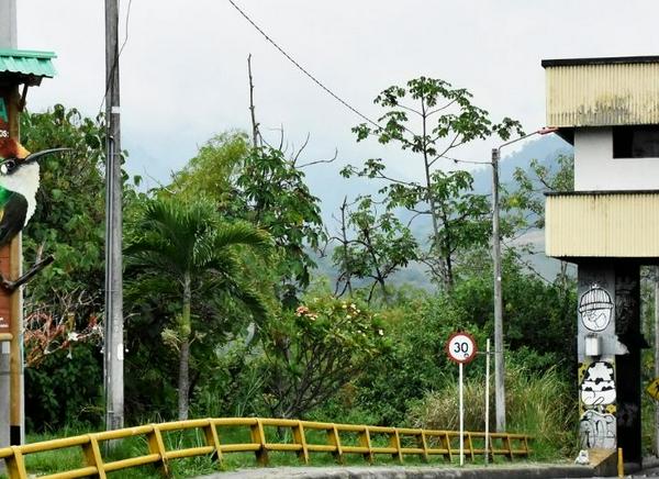 imagen principal home