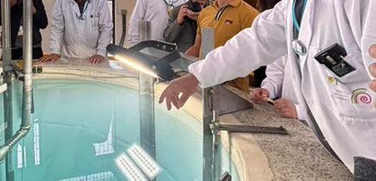 Colombia tiene, oficialmente, ley nuclear: así funcionará la regulación del sector 