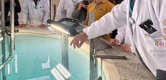 Colombia tiene, oficialmente, ley nuclear: así funcionará la regulación del sector 
