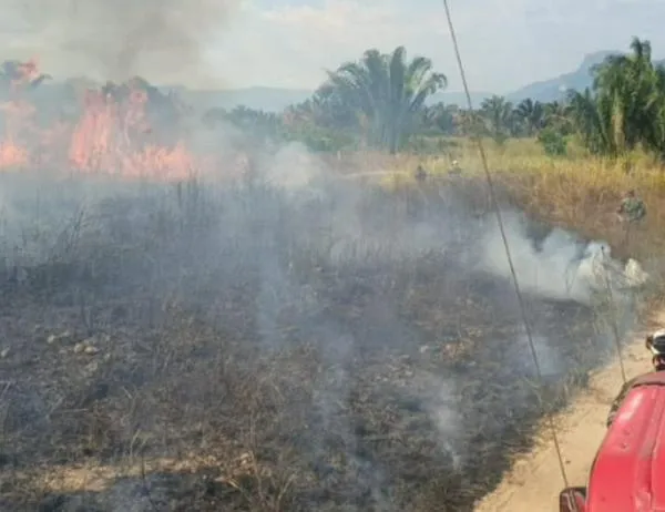 En Cundinamarca se multiplicaron por siete los incendios forestales en un mes 