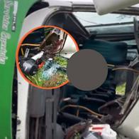 Un bus escolar sufrió una falla mecánica y se volcó en Apartadó. Diecisiete menores ya fueron dados de alta tras la emergencia.
