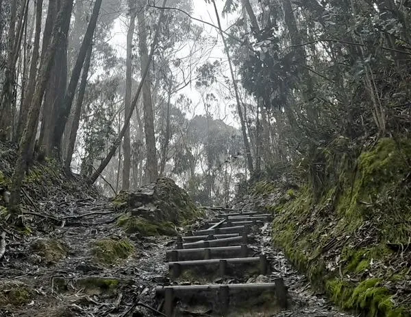Senderos de Bogotá cerrados este viernes 7 de agosto del 2026 ¡Te contamos!  