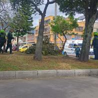 En este parque de Ciudad Jardín Sur, en Bogotá, encontraron a una persona sin vida dentro de una bolsa