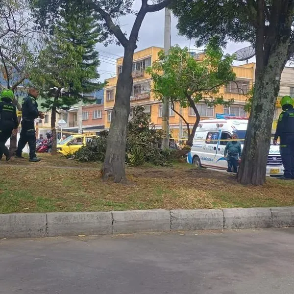 En este parque de Ciudad Jardín Sur, en Bogotá, encontraron a una persona sin vida dentro de una bolsa