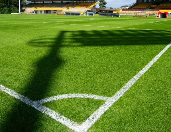 IDRD culmina la intervención de la grama de Techo y deja listo el estadio para celebrar a Bogotá 
