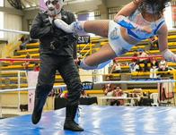 El Festival de Verano 2026 recibe la emoción de la lucha libre en Bogotá: prográmate del 6 al 15 de agosto 
