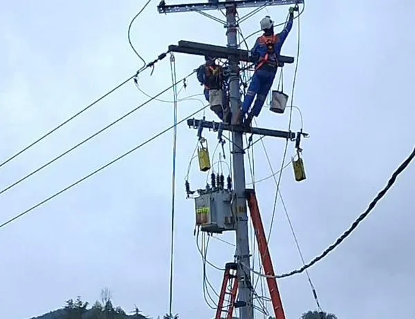 ¿Se fue la luz en tu casa o sector? Repórtalo a Enel Colombia en minutos desde WhatsApp  