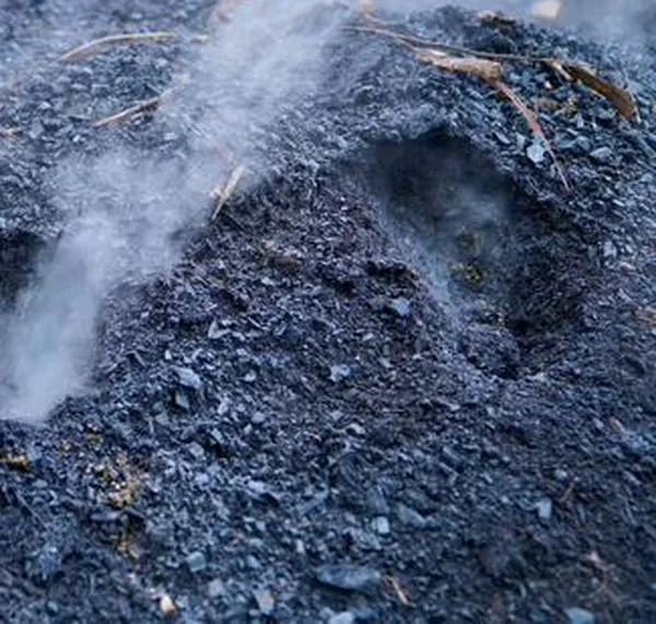 Controlan incendio forestal en el occidente de Bogotá tras intervención de Bomberos