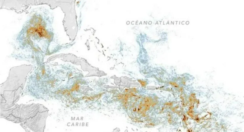 imagen nota lateral