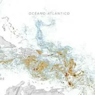 Nasa alerta por cinturón de sargazo en Atlántico que podría llegar a Colombia
