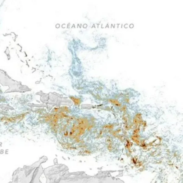 Nasa alerta por cinturón de sargazo en Atlántico que podría llegar a Colombia