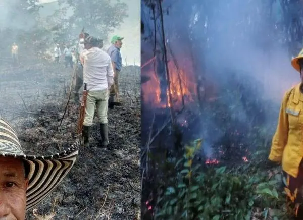 Héroes sin capa: reconocimiento especial a los bomberos del Tolima