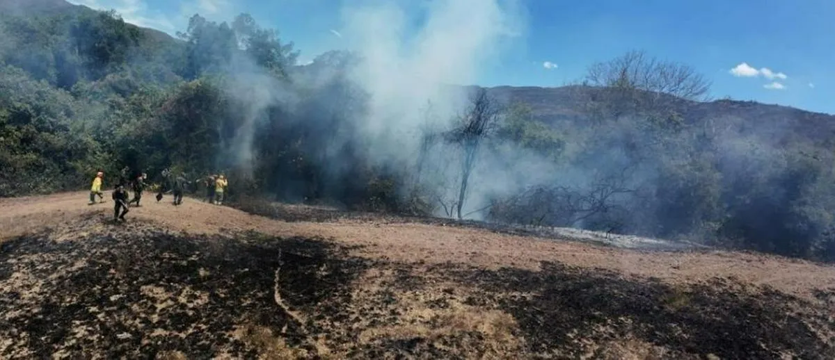 Ibagué activa línea de WhatsApp para denunciar incendios forestales provocados